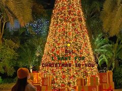 -广州富力丽思卡尔顿酒店