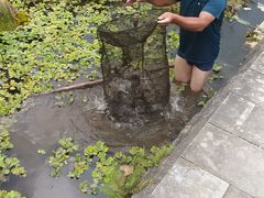 -靖西鹅泉风景区