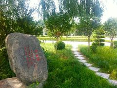-洛阳市隋唐城遗址植物园