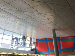 -达拉斯 沃斯堡国际机场