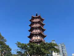 -深圳湾公园(南山区)