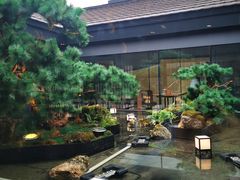 -绿茶餐厅(成都太古里店)