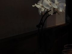-翡翠鸟精品泰国菜(北辰财富中心店)