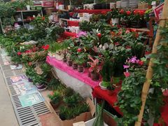 -秦美花卉(天朗·莱茵小城2期店)