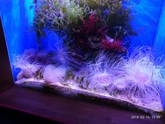 -多彩贵州城极地海洋世界