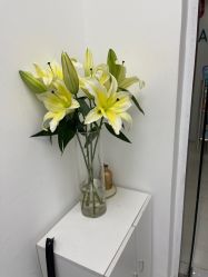 -安那般那皮肤年轻化ANAPANA