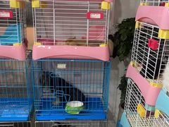 -宠爱我(南山店)