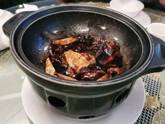 -新聚丰菜馆(太监弄店)