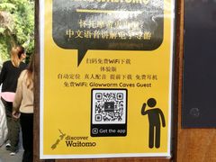 -怀托摩萤火虫洞