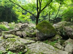 -白云源风景区