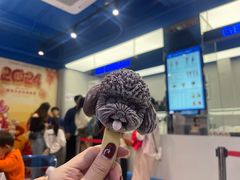 -CORNER CONE GELATO酷矿手作霜淇淋(南头古城店)