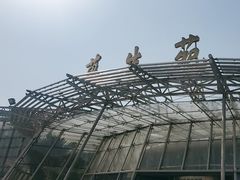 -北京植物园-展览温室