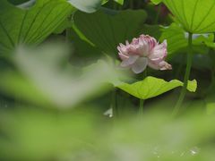 -黄兴公园