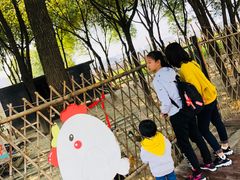 -田园东方蜜桃村的田野营地