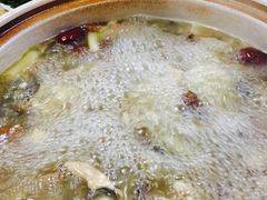 -东巴谷野生菌火锅餐厅
