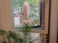 -南山鲜虾面·活鲜小馆·海味大连菜(南山总店)