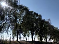 -野鸭湖国家湿地公园