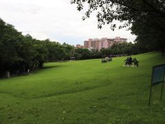-广州雕塑公园