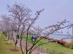-幕燕滨江·长江观音景区