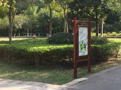 -火炉山森林公园