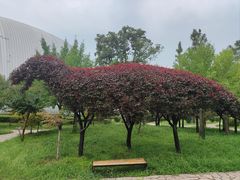 -诸城市恐龙博物馆