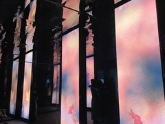 -中国湿地博物馆