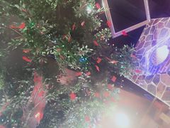 -顶顶汤火牛排火锅·经典铜锅涮肉