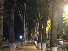 -龙塔