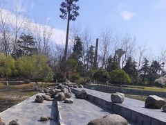 -合肥生态公园