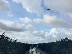 -北海金海湾红树林生态旅游区