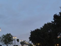 -哈尔滨音乐公园