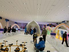 -宁波冰雪大世界(北仑区)