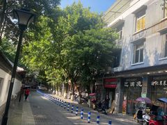 -老街无刺鲫鱼