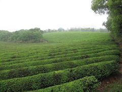 -敬亭山风景名胜区