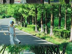 -宜兴龙背山森林公园