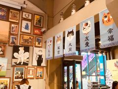 -猫咪博物馆(顶澳仔猫街店)