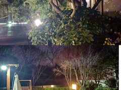 -思念果岭悦温泉