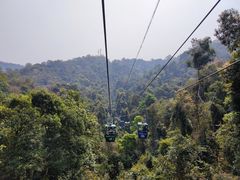 -野象谷景区