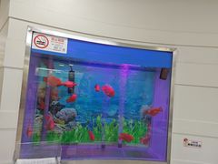 -雅悦齿科(顾村公园店)