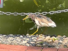 -人民公园(罗湖区)