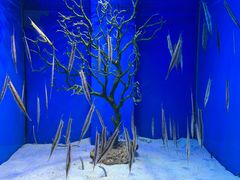 -多彩贵州城极地海洋世界