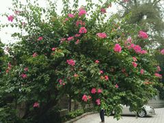 -广州市干部健康管理中心