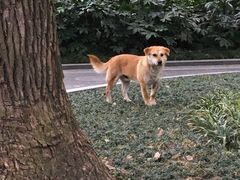 -御花园·粤菜·海鲜火锅(中山公园店)