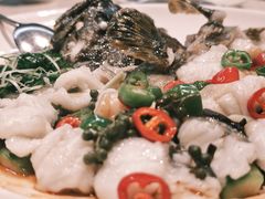 鲜花椒蒸龙趸鱼-任兴记(定西路店)