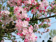 -元大都城垣遗址公园