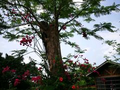 -白沙门生态公园