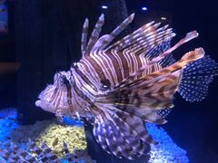 -成都浩海立方海洋公园