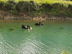 -长白岛森林公园