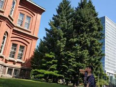 -北海道厅旧本厅舍(旧本庁舎)