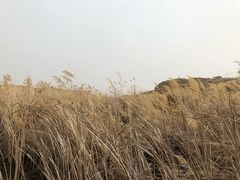 -水洞沟旅游区
